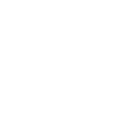 Specialized Services